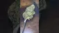 Video Thumbnail: Smokey Mo