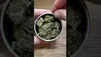 Glass Pharms T17 Blackberry Sour - Initial Thoughts and First Look
