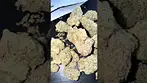 Gelato Dream - Greyscales smelling like piney, citrus, berries and earth. 7/10tastes like it smells