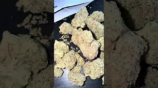 Gelato Dream - Greyscales smelling like piney, citrus, berries and earth. 7/10tastes like it smells