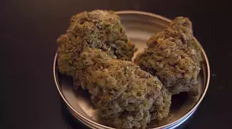 Mac Daddy Mac 3 Cannabis #shorts  Medical Cannabis MC-T22:C1 Releaf Glass Pharms