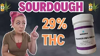 First Look At SOURDOUGH 29 Flower Strain Review | Medical Cannabis UK