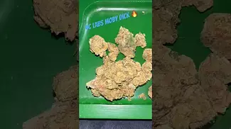 4c labs Moby dick My thoughts are  #uk #medical #patient #4clabs #youtubeshorts