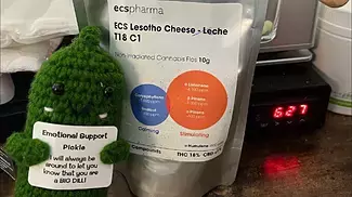 Pt1 Medical cheese ecs Lesotho cheese t18