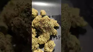 GRASSROOTS BLUE DREAM (UK PRESCRIPTION MEDICATION)