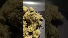 PrescribedBouquet Video Thumbnail