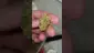Video Thumbnail: JRS Smokey Supplies