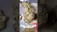 Charlie Chongs Video Thumbnail