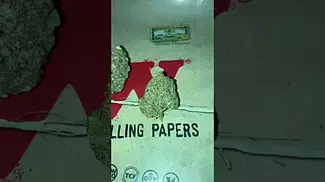 BONNE NUIT BONBON | UK MEDICAL CANNABIS PATIENT FLOWER VIDEO