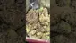 Video Thumbnail: High Jack