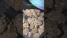 Concanna Video Thumbnail
