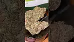 Medcan - isando TS