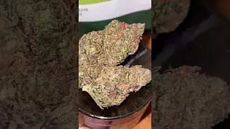 Medcan - isando TS