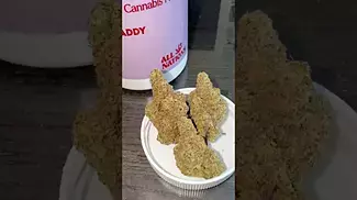All Nations MD Mac Daddy (mac1 x grand daddy x purple caper) 8.5/10 burns white ash and flavourful.