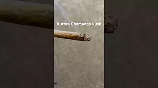 Aurora T28 Chemango kush burn