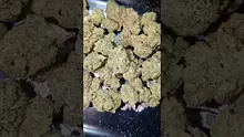 PrescribedBouquet Video Thumbnail
