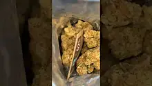 Mary Jane Media 420 Video Thumbnail