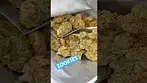 Click here for the ZOOKIES