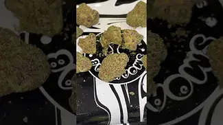 Blueberry Fuego