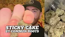 High Jack Video Thumbnail