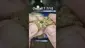 Video Thumbnail:  The Cannabis Patient