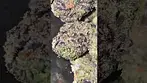 Vasco Blueberry Bannana T28 Non Irradiated - Super smooth sweet berry grape cream.