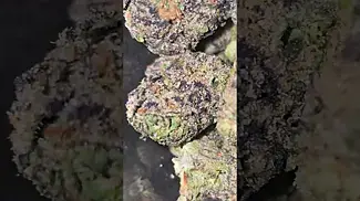 Vasco Blueberry Bannana T28 Non Irradiated - Super smooth sweet berry grape cream.