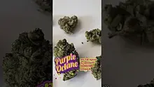 UKTHC Video Thumbnail