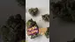 Video Thumbnail: UKTHC