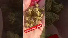 EdTalks420 Video Thumbnail