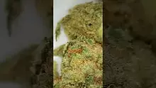 UK and Legal Video Thumbnail