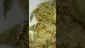 Video Thumbnail: UK and Legal