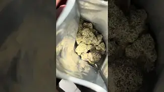 Sticky Cake “Smalls” by Humble Buds