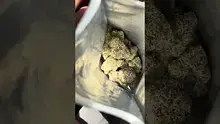 High Jack Video Thumbnail