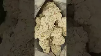 Plantations Ceres Cap Junky (27% THC UK Medical Weed)