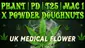 Video Thumbnail: Cannabis Culture 