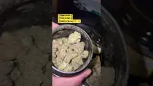 Giggzy Medical Buds Video Thumbnail