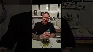 Hash Rosin vape from Clearleaf on UK medical formulary