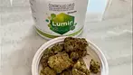 Lumir Strawberry Malowe THC 23% CBD less than 1%