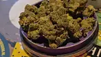 4c labs Jet Fuel Gelato   24% THC 1% CBD