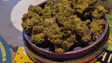 Keep Blazing Stay Amazing Video Thumbnail