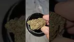 Mochi Gelato By Upstate