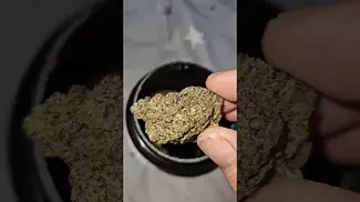 Mochi Gelato By Upstate