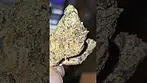 UK MEDICAL FLOWER - LEMON CHERRY GELATO T19 - CLEAN SMOOTH SWEET RELAXATION APPETITE 