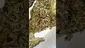Video Thumbnail: Adz Canna