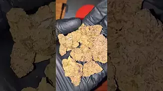 The MOST EXPENSIVE UK Medical Weed