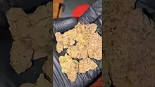 ezratheplug Video Thumbnail