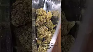 UK Medical Flower. Dalgety HSAL 30%.