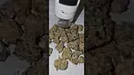 Green Karat Fiji Sunset Buds View Magnification