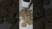 For the Buck Video Thumbnail